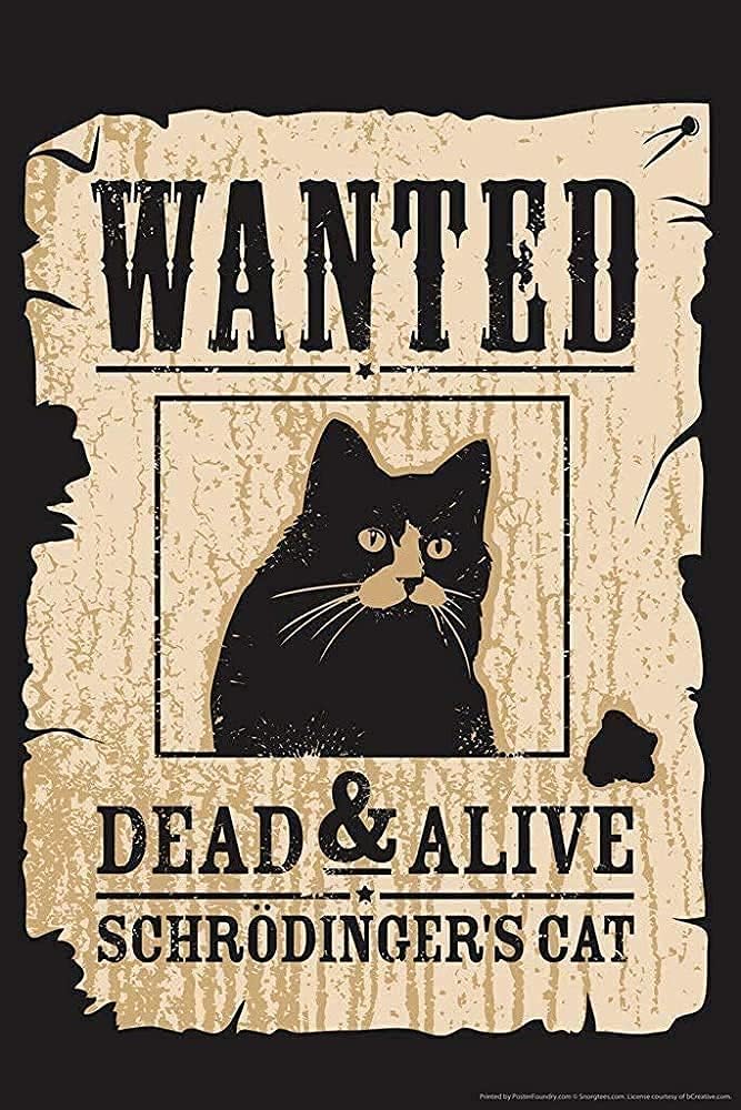 Drawing: wanted poster for a cat that is both dead and alive